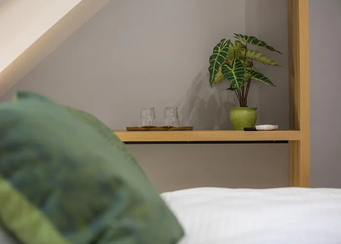 Hisa Trelc- Sobe Hotel 4*