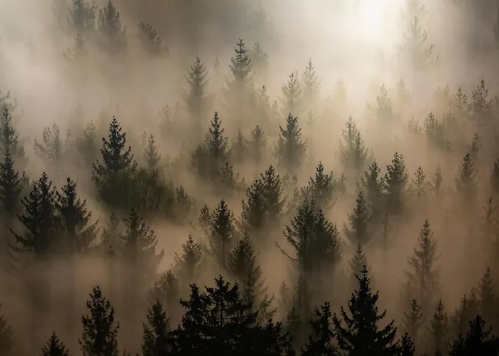 Hisa Trelc- Sobe Hotel 4*